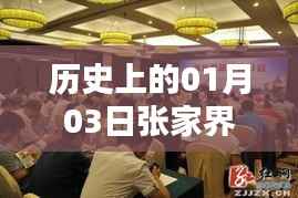 张家界发热门诊历史表现，一月三日回顾