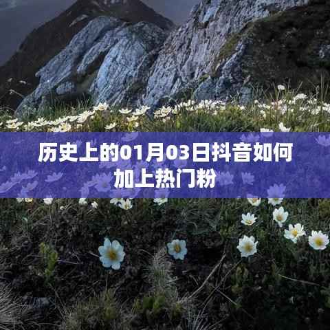 抖音热门粉丝秘籍,揭秘历史上的抖音推广策略
