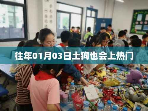 土狗也上热门,揭秘背后的故事