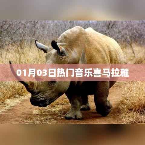 喜马拉雅热门音乐榜单(每日更新)