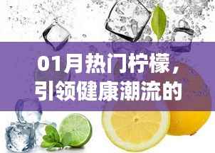 柠檬魔力,引领健康潮流,一月热门之选