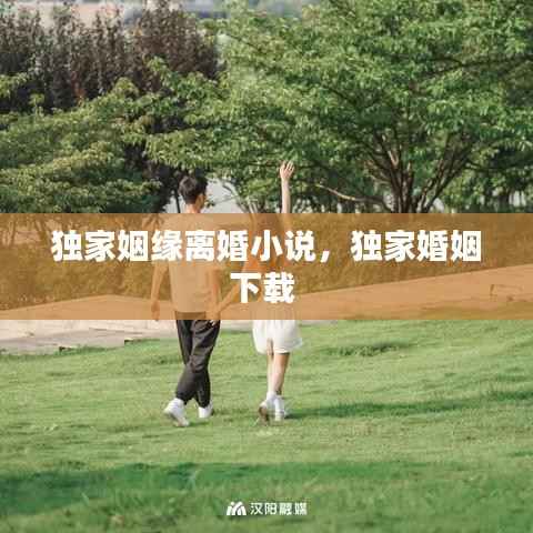 独家姻缘离婚小说,独家婚姻下载