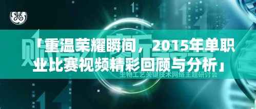 「重温荣耀瞬间,2015年单职业比赛视频精彩回顾与分析」