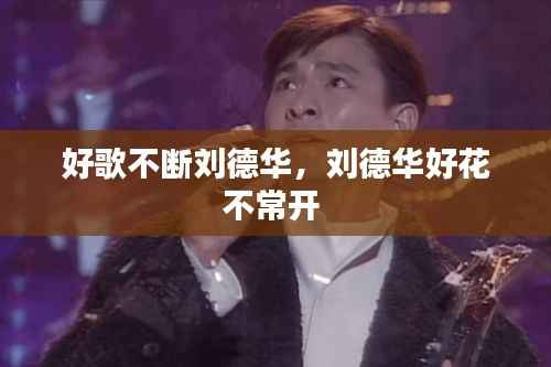 好歌不断刘德华，刘德华好花不常开 
