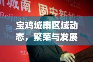 宝鸡城南区域动态,繁荣与发展并行,新闻头条全掌握
