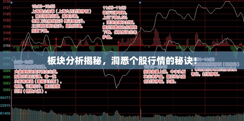 板块分析揭秘,洞悉个股行情的秘诀!