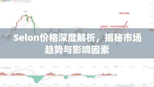 Selon价格深度解析,揭秘市场趋势与影响因素