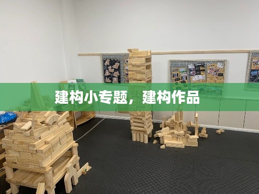 建构小专题,建构作品
