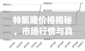 特氟隆价格揭秘,市场行情与真实成本解析