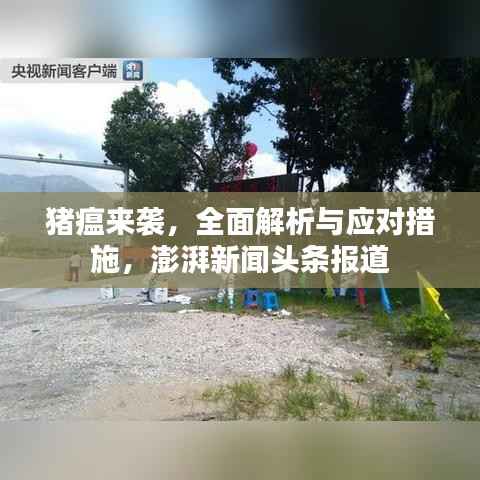 猪瘟来袭,全面解析与应对措施,澎湃新闻头条报道