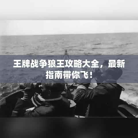 王牌战争狼王攻略大全,最新指南带你飞!