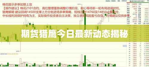期货猎鹰今日最新动态揭秘