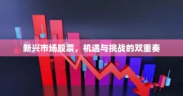 空前绝后 第3页