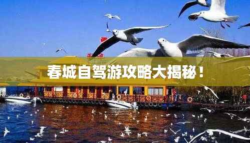 春城自驾游攻略大揭秘！
