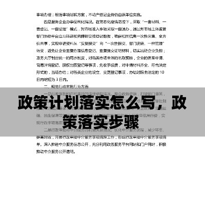 政策计划落实怎么写,政策落实步骤