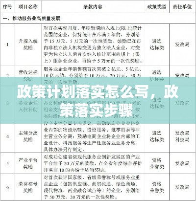 政策计划落实怎么写,政策落实步骤