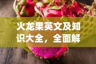 火龙果英文及知识大全,全面解读火龙果的奥秘