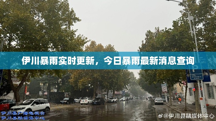 伊川暴雨实时更新,今日暴雨最新消息查询