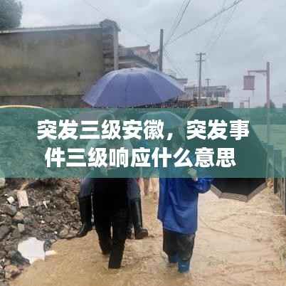 突发三级安徽,突发事件三级响应什么意思