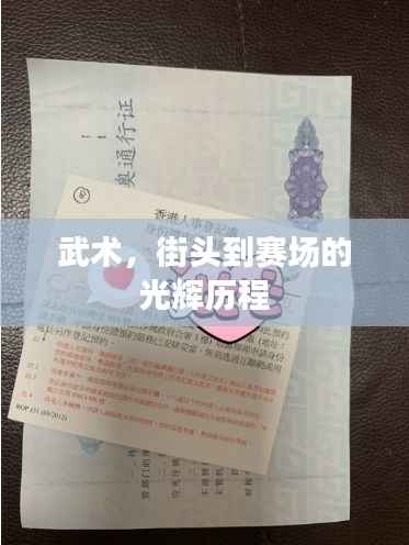 武术,街头到赛场的光辉历程