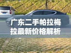 广东二手帕拉梅拉最新价格解析