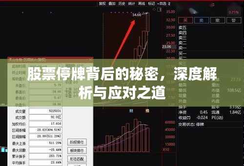股票停牌背后的秘密,深度解析与应对之道
