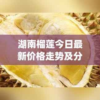 湖南榴莲今日最新价格走势及分析揭秘