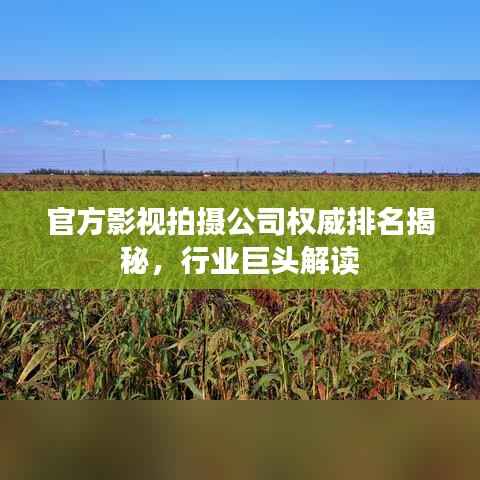 官方影视拍摄公司权威排名揭秘,行业巨头解读