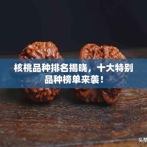 核桃品种排名揭晓,十大特别品种榜单来袭!