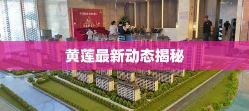 黄莲最新动态揭秘