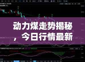 刚毅木讷 第2页