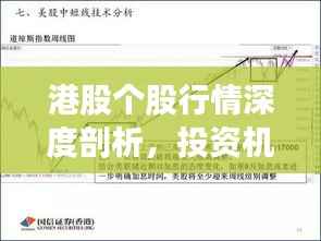 港股个股行情深度剖析,投资机会与风险并存