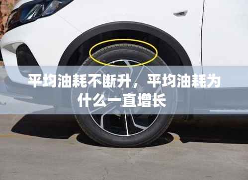 新闻动态 第161页