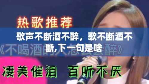 歌声不断酒不醉,歌不断酒不断,下一句是啥