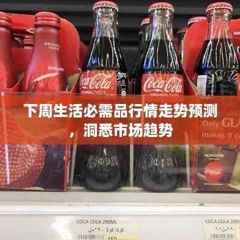 下周生活必需品行情走势预测,洞悉市场趋势