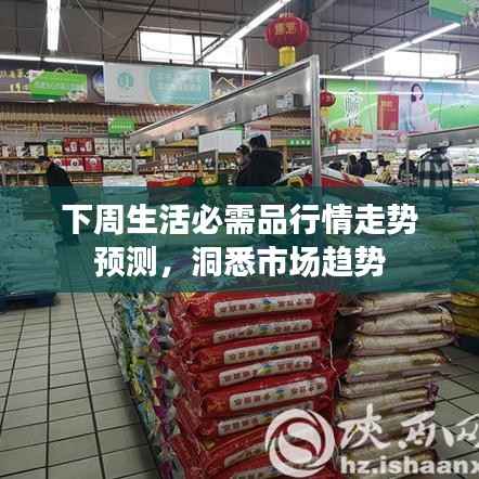 下周生活必需品行情走势预测,洞悉市场趋势