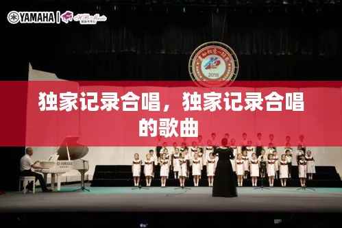 独家记录合唱,独家记录合唱的歌曲