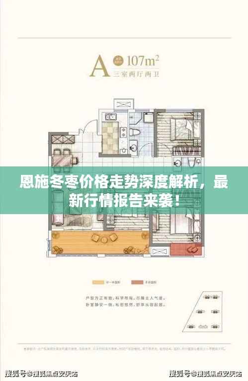 恩施冬枣价格走势深度解析，最新行情报告来袭！