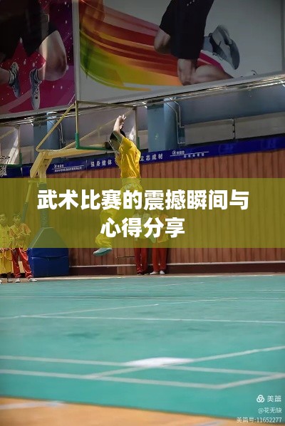 武术比赛的震撼瞬间与心得分享