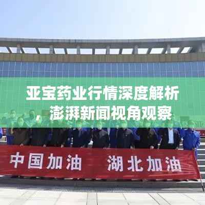 亚宝药业行情深度解析,澎湃新闻视角观察