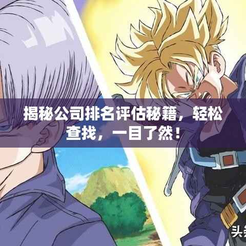 揭秘公司排名评估秘籍,轻松查找,一目了然!