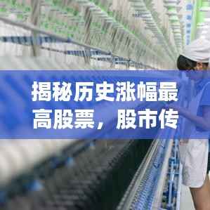 揭秘历史涨幅最高股票,股市传奇崛起之路深度探究